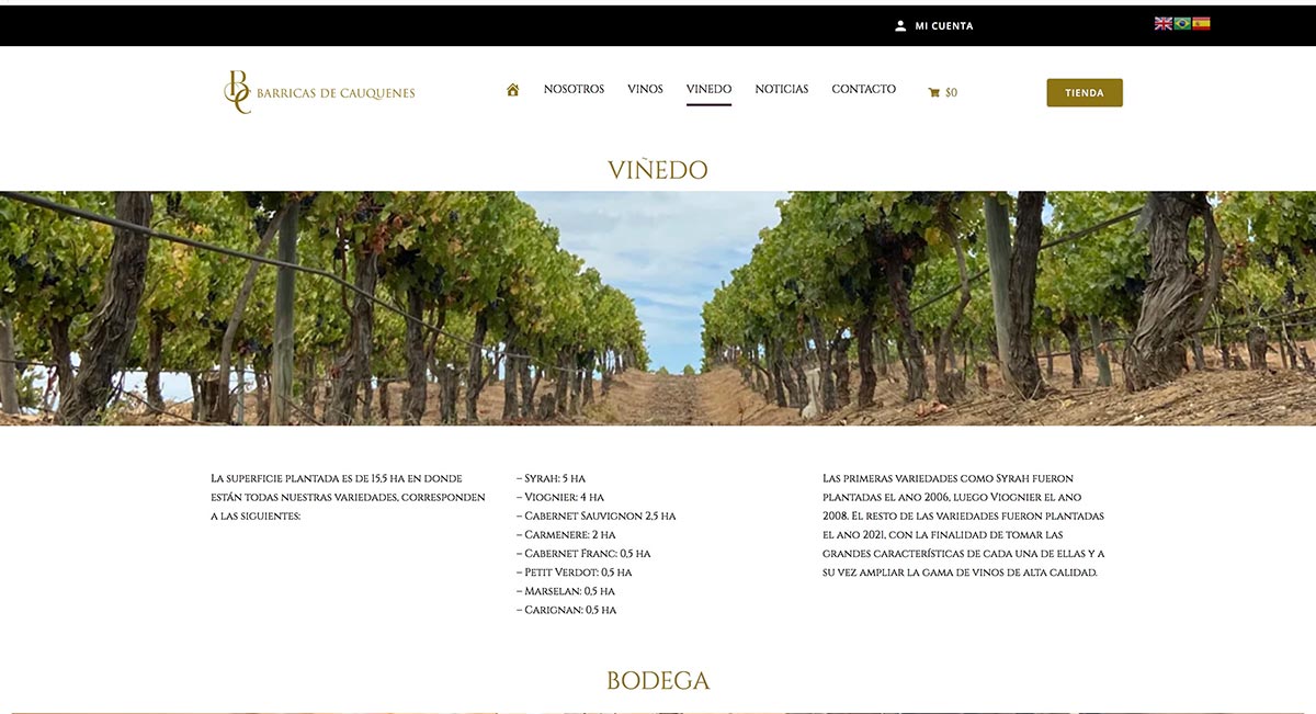 Vinos Petit Verdot