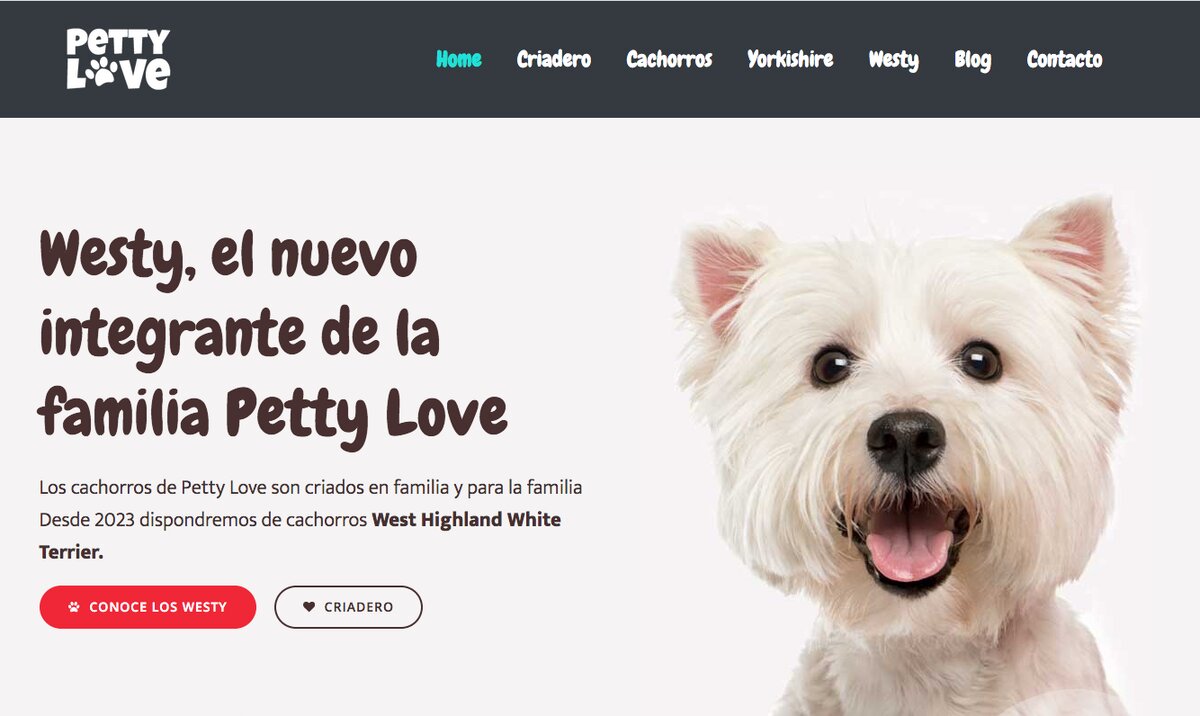 Venta de cachorros westy