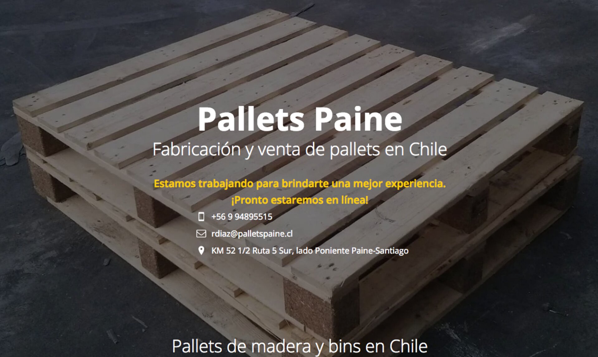 Euro pallets nuevos